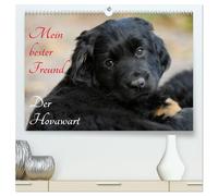 Mein bester Freund - Der Hovawart (hochwertiger Premium Wandkalender 2026 DIN A2 quer), Kunstdruck in Hochglanz: Hovawarte von klein bis groß auf 13 bezaubernden Fotos