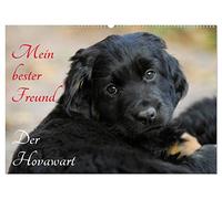 Mein bester Freund - Der Hovawart (Wandkalender 2026 DIN A2 quer), CALVENDO Monatskalender: Hovawarte von klein bis groß auf 13 bezaubernden Fotos