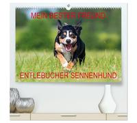 Mein bester Freund - Entlebucher Sennenhund (hochwertiger Premium Wandkalender 2026 DIN A2 quer), Kunstdruck in Hochglanz: Die kleinste Rasse der Schweizer Sennenhunde - der Entlebucher