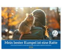 Mein bester Kumpel ist eine Ratte (Wandkalender 2026 DIN A2 quer), CALVENDO Monatskalender: Rattenzauber: Momente der Liebe mit kleinen Nagerfreunden