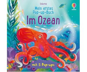 Mein erstes Pop-up-Buch: Im Ozean: mit 5 Pop-ups wird die Welt der Ozeane lebendig - für Kinder ab 3 Jahren