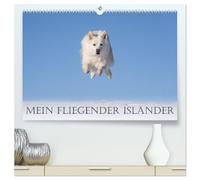 Mein fliegender Isländer (hochwertiger Premium Wandkalender 2026 DIN A2 quer), Kunstdruck in Hochglanz: Islandhunde sind sehr agile und sportliche Hunde.