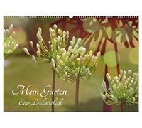 Mein Garten Eine Leidenschaft (Wandkalender 2026 DIN A2 quer), CALVENDO Monatskalender: Ich liebe meinen Garten zu jeder Jahreszeit