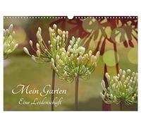 Mein Garten Eine Leidenschaft (Wandkalender 2026 DIN A3 quer), CALVENDO Monatskalender: Ich liebe meinen Garten zu jeder Jahreszeit