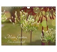 Mein Garten Eine Leidenschaft (Wandkalender 2026 DIN A4 quer), CALVENDO Monatskalender: Ich liebe meinen Garten zu jeder Jahreszeit