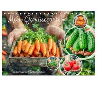Mein Gemüsegarten - Ein Jahr knackig frisches Gemüse (Tischkalender 2026 DIN A5 quer), CALVENDO Monatskalender: Gärtner und Ernte, eine bunte Gemüsevielfalt in Bildern