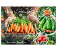 Mein Gemüsegarten - Ein Jahr knackig frisches Gemüse (Wandkalender 2026 DIN A2 quer), CALVENDO Monatskalender: Gärtner und Ernte, eine bunte Gemüsevielfalt in Bildern