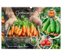 Mein Gemüsegarten - Ein Jahr knackig frisches Gemüse (Wandkalender 2026 DIN A3 quer), CALVENDO Monatskalender: Gärtner und Ernte, eine bunte Gemüsevielfalt in Bildern