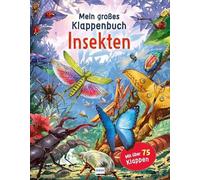 Mein großes Klappenbuch - Insekten: mit über 75 Klappen und spannenden Sachinformationen