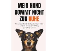Mein Hund kommt nicht zur Ruhe: Warum dein Hund ständig unter Strom steht - und wie du ihm wirklich hilfst, zur Ruhe zu kommen