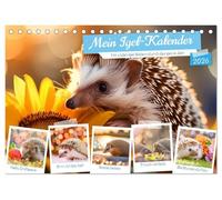 Mein Igel-Kalender (Tischkalender 2026 DIN A5 quer), CALVENDO Monatskalender: Mit schönen Igel-Bildern durch das ganze Jahr.
