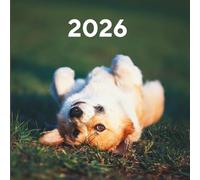 Mein Jahr 2026 - Planen, Reflektieren & Wachsen: Farbig illustrierter Kalender mit Monats- und Wochenübersichten, To-dos und Reflexionsfragen