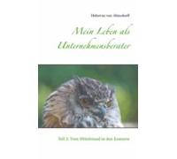 Mein Leben Als Unternehmensberater (ebook)
