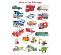 Meine ersten Fahrzeuge: Lernposter DINA3