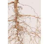 Meine Familie: Ein einzigartiges Geschenk für die ganze Familie - Erinnerungsbuch für Weihnachten, Geburt & besondere Anlässe