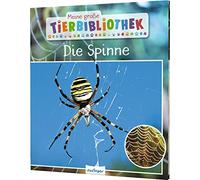 Meine große Tierbibliothek: Die Spinne: Sachbuch für Vorschule & Grundschule