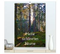 Meine schönsten Bäume (hochwertiger Premium Wandkalender 2026 DIN A2 hoch), Kunstdruck in Hochglanz: 12 schöne Bäume im Salzburger Land