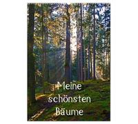 Meine schönsten Bäume (Wandkalender 2026 DIN A2 hoch), CALVENDO Monatskalender: 12 schöne Bäume im Salzburger Land