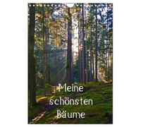Meine schönsten Bäume (Wandkalender 2026 DIN A4 hoch), CALVENDO Monatskalender: 12 schöne Bäume im Salzburger Land