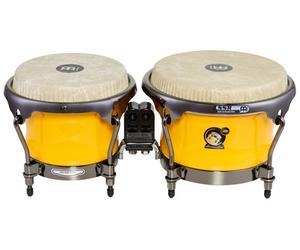 Meinl Artist Alexandra Alban Bongos
