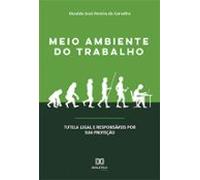 Meio Ambiente Do Trabalho (ebook)