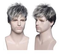 Meiriyfa - Peluca corta para hombre, peluca sintética completa, para fiesta o uso diario, 15 cm, color plateado