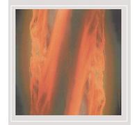 Meisha - First Lessons in New Era Time