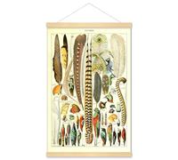 Meishe Art Póster impreso de pájaros, plumas, plumas coloridas, colección vintage, hermosa ilustración pop, referencia, tabla educativa, enmarcado, decoración de pared del hogar