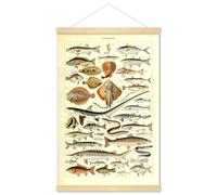 Meishe Art - Póster vintage con impresión artística de razas de peces, referencia de identificación de la vida marina marina (40 cm x 60 cm + marco para colgar)