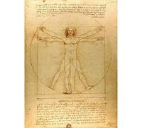 Meishe Art Póster Vitruvio por Leonardo Da Vinci, dibujo de pintura, reproducción de obras clásicas, decoración para hogar, sala de estar, dormitorio, oficina