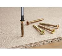 Meister 904070 Tornillos universales Unidades, Oro, 5,0 x 60 mm (240 Stück)