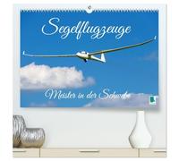 Meister in der Schwebe: Segelflugzeuge (hochwertiger Premium Wandkalender 2026 DIN A2 quer), Kunstdruck in Hochglanz: Segelflieger: Die Nachfahren Otto Lilienthals