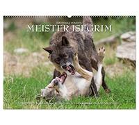 Meister Isegrim (Wandkalender 2026 DIN A2 quer), CALVENDO Monatskalender: Zauberhafte Bilder aus dem Leben des Wolfes. Ein Kalender von Ingo Gerlach GDT.