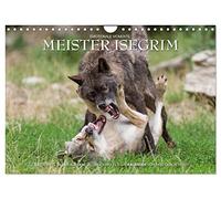 Meister Isegrim (Wandkalender 2026 DIN A4 quer), CALVENDO Monatskalender: Zauberhafte Bilder aus dem Leben des Wolfes. Ein Kalender von Ingo Gerlach GDT.