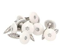 Meister Ling® - Tornillos de fachada 4,8 x 25 mm en acero inoxidable V2 A/Inox, con colores einbrennlackiertem cabeza plana y grabación Torx T de 20, (Pro 100 unidades, incluye 1 Bit), 4,8 x 25 mm en V2 A, Blanco