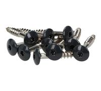 Meister Ling® - Tornillos de fachada 4,8 x 25 mm en acero inoxidable V2 A/Inox, con colores einbrennlackiertem cabeza plana y grabación Torx T de 20, (Pro 100 unidades, incluye 1 Bit), 4,8 x 25 mm en V2 A, Gris