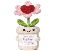 MEIVINES Regalo de Flores de Ganchillo Positive Flores de Ganchillo Regalo Corazón de Ganchillo Regalo Mutuo para Amigo, Familia, Colegas (Rosa)