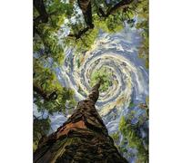MEIYUDA 5D Diamond Painting Bosque vórtice, Pintura Diamante Bosque vórtice, Diamond Painting Kit Completo Niños Regalo, Manualidades Adultos Para Decoración De Pared Del Hogar 30x40cm