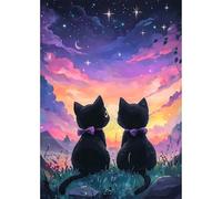 MEIYUDA 5D Diamond Painting Gato, Pintura Diamante Cielo estrellado, Diamond Painting Kit Completo Manualidades Adultos Regalo Niños, Decoración De Pared Del Hogar 30x40cm