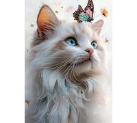 MEIYUDA 5D Diamond Painting Kit Completo Gatos Mariposa, Pintura Diamante, Diamond Painting Regalo Niños, Manualidades Adultos Diamond Painting Para Decoración De Pared Del Hogar 30x40cm