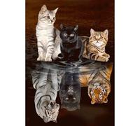 MEIYUDA 5D Diamond Painting Kit Completo, Pintura Diamante Reflejo de gato y Tigre, Diamond Painting Regalo Niños, Manualidades Adultos Diamond Painting Para Decoración De Pared Del Hogar 30x40cm