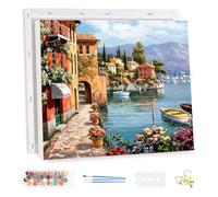 MEIYUDA Pintar por Numeros Adultos con Marco Paisaje junto al mar, DIY Painting by Numbers Kits Cuadros por Numeros, Pintura de Bricolaje Sobre Lienzo con Pinceles Decoración para el Hogar 40x30cm
