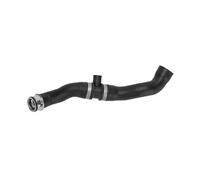 MEIZIYU Manguera inferior del radiador, Compatible for W203 CL203 S203 2035013682 A2035013682, repuestos for sistema de refrigeración Manguera de suministro de refrigerante del radiado