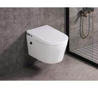 MEJE #T010W - Combo de inodoro para colgar en la pared, inodoro montado en la pared con tanque de agua integrado, asiento de cierre suave, doble descarga, color blanco (incluye portador en la pared)