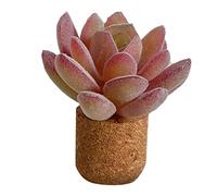 Mejor Ambientador Coche Colorido 3D Plantas artificiales Forma Ventilación Coche Amor Piedra de Perfume creativo Difusor de coche Perfume Clip Acondicionamiento Interior del coche (B, One Size)