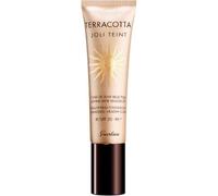 Mejor Dto! TERRACOTTA Teint Naturel Base de Maquillaje
