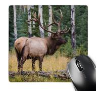Mejora La Precisión Y La Velocidad Alfombrilla Gaming Alce De Las Montañas Rocosas Parque Nacional Jasper, Canadá 25X30Cm, Alfombrilla De Ratón Professional Mouse Mat para Trabajo Pc Oficina