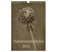 Melancolía natural 2026 (calendario de pared 2026 DIN A4 alto), calendario mensual CALVENDO