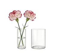 MELEJIA Set de 2 Jarrones de Acrílico, Jarrones Transparente Redondo, Vaso Decorativo Ligero y Resistente, Jarrón de Plástico Irrompible para Flores y Decoración del Hogar, (D10cmxH20cm & D15cmxH20cm)