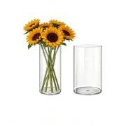 MELEJIA Set de 2 Jarrones de Acrílico, Jarrones Transparente Redondo, Vaso Decorativo Ligero y Resistente, Jarrón de Plástico Irrompible para Flores y Decoración del Hogar, (D10cmxH20cm & D12cmxH20cm)